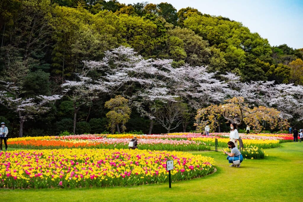 Visión general del parque con flores, en Hamamatsu