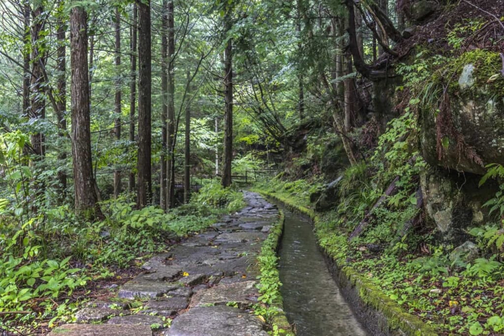 Rodéate de naturaleza viva en el parque Fudo de Nakatsugawa, Gifu
