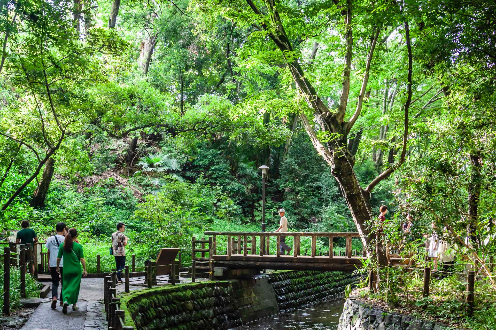 El Valle de Todoroki, un remanso de historia y naturaleza en Tokio