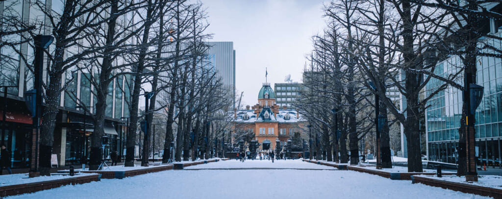 Sapporo con nieve durante una Navidad en Hokkaido