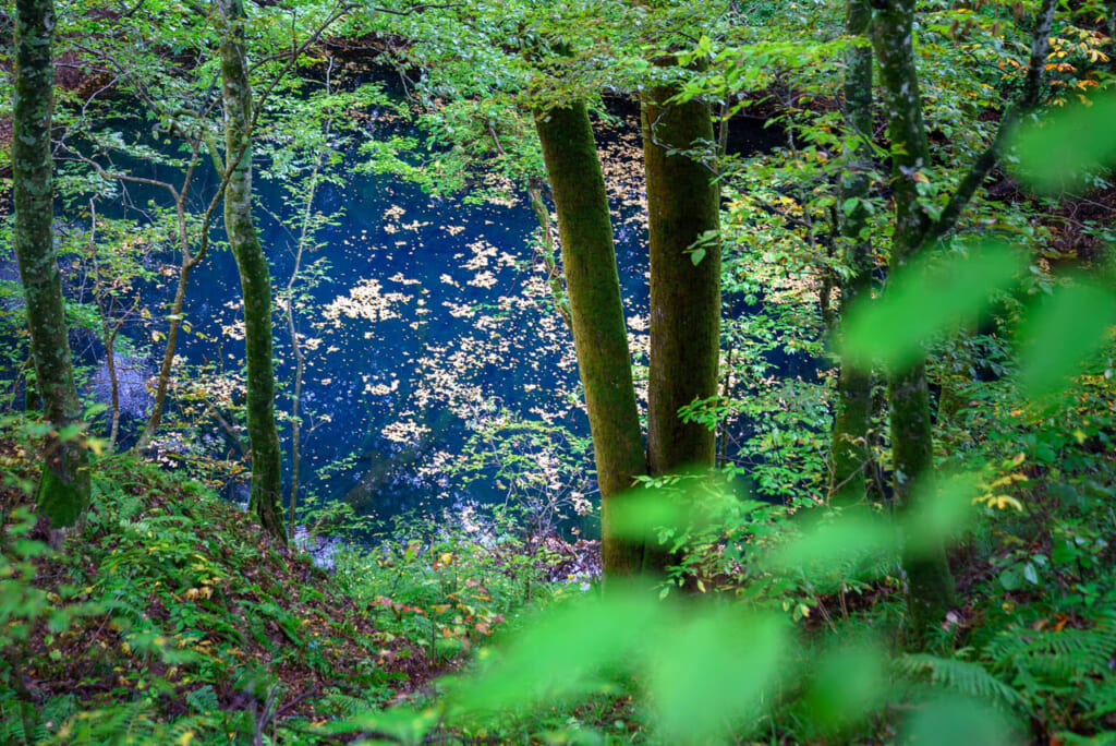 El estanque Aoike rodeado de naturaleza