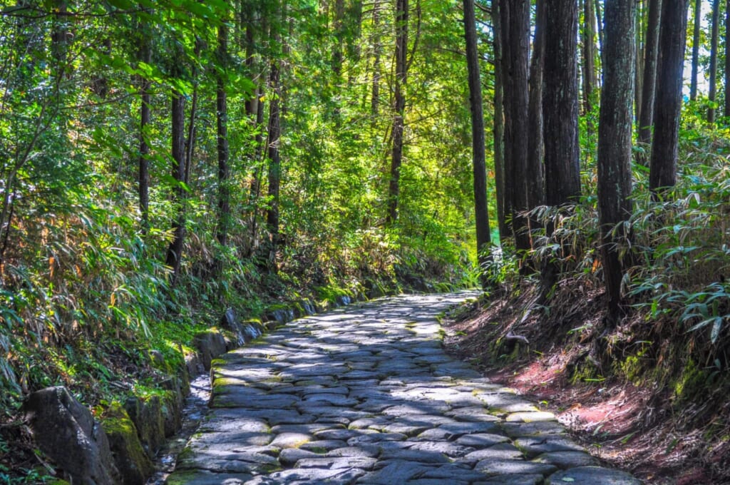 El camino pavimentado por la ruta en Ochiai