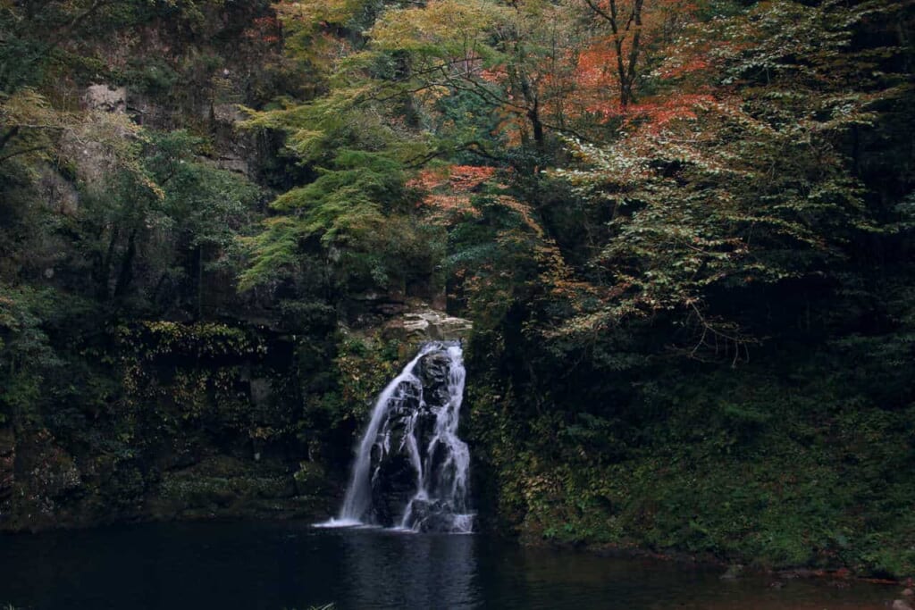 una de las 48 cascadas de Akame