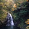 Una de las cascadas de Akame rodeada de hojas otoñales.