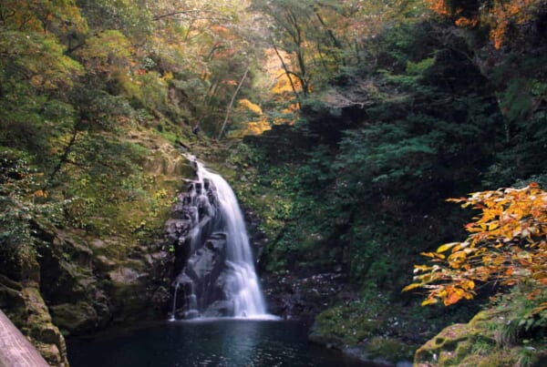 Una de las cascadas de Akame rodeada de hojas otoñales.