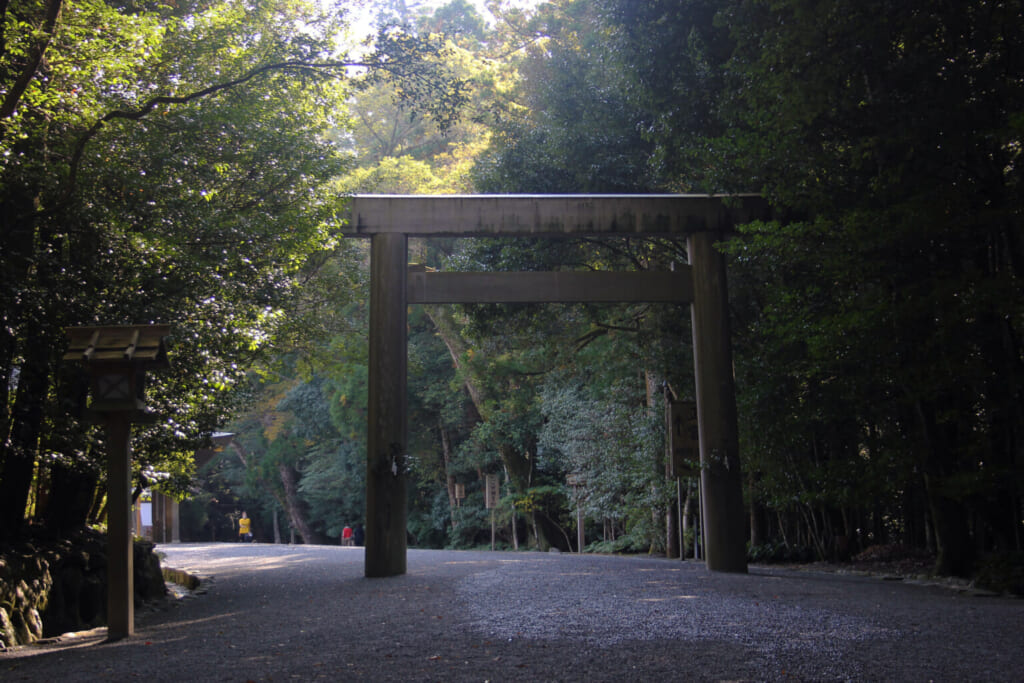 Un enorme torii entre árboles