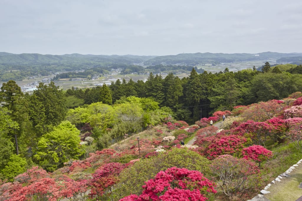vistas del jardín japonés kairakuen en Mito
