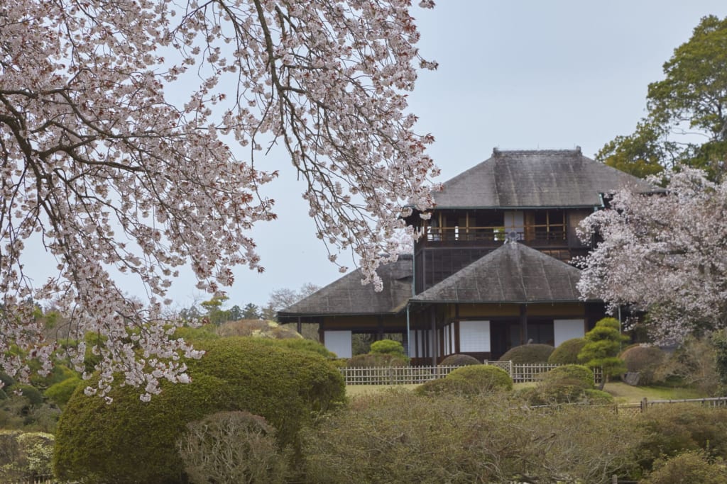 la casa Kobuntei con cerezos en flor