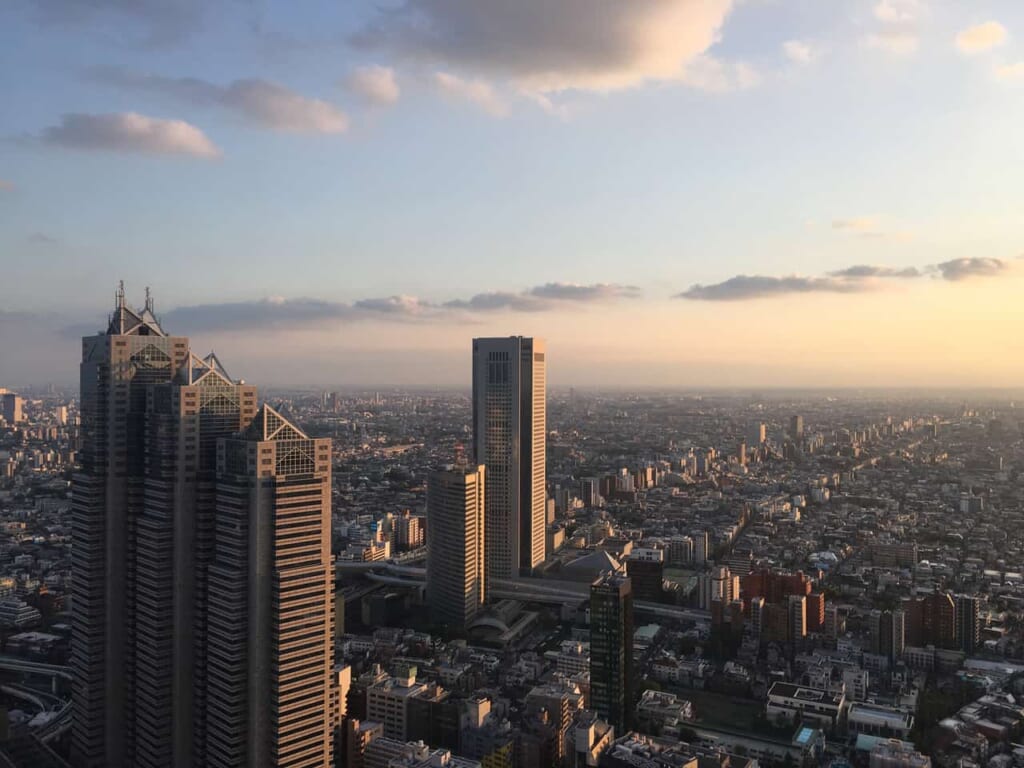Panorama de Tokio al atardecer desde uno de sus miradores