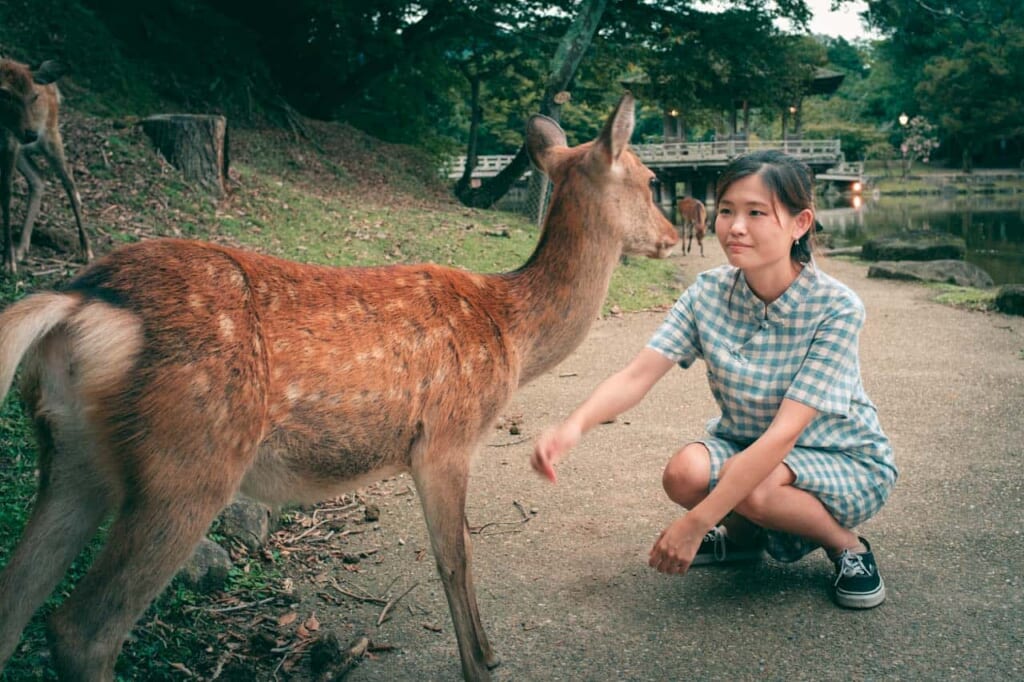Una chica cerca de un ciervo en el parque de Nara