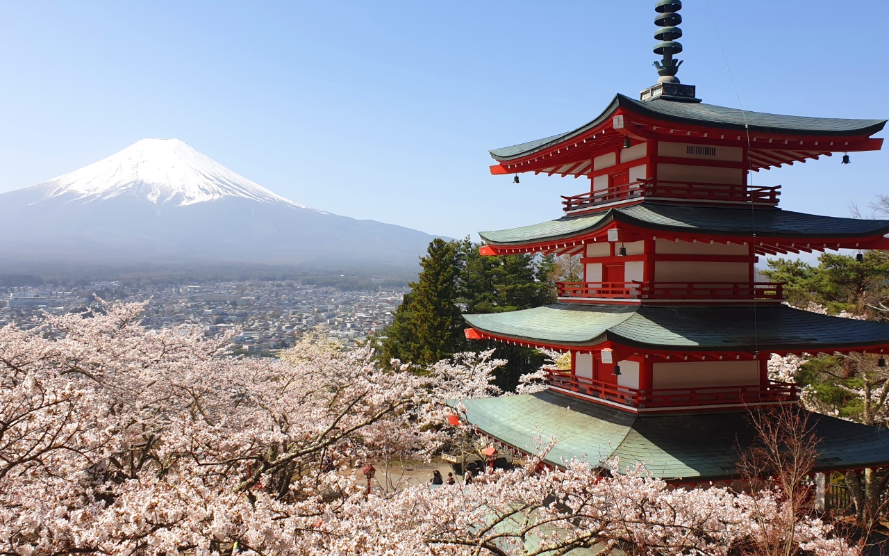 mt fuji and red pagoda in japan
