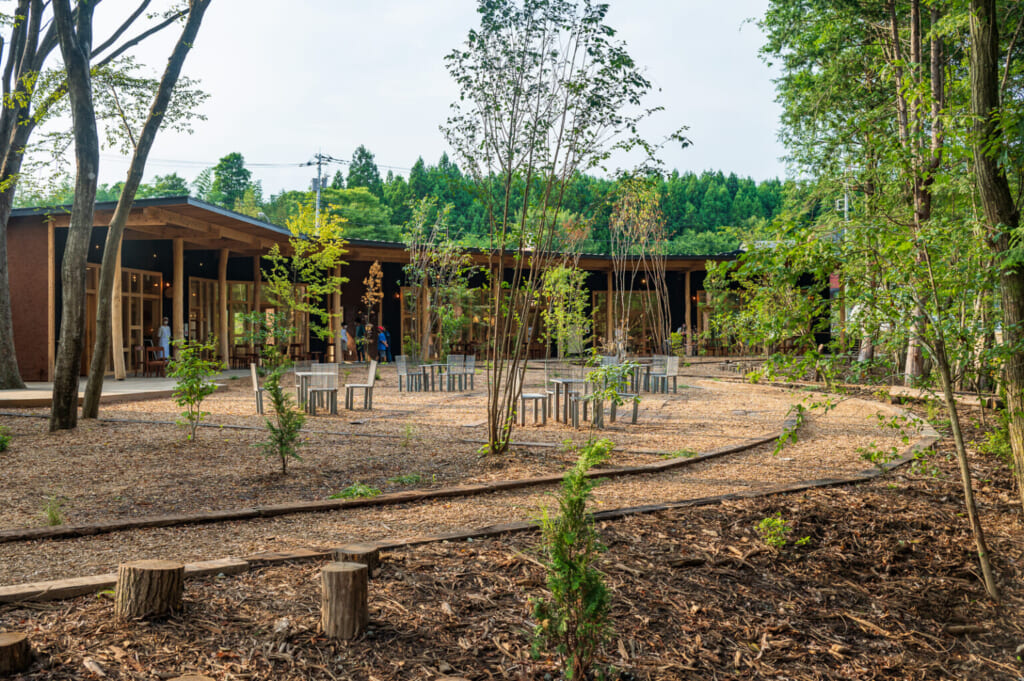 Un patio recientemente plantado con árboles delante de un centro comercial sostenible en Japón