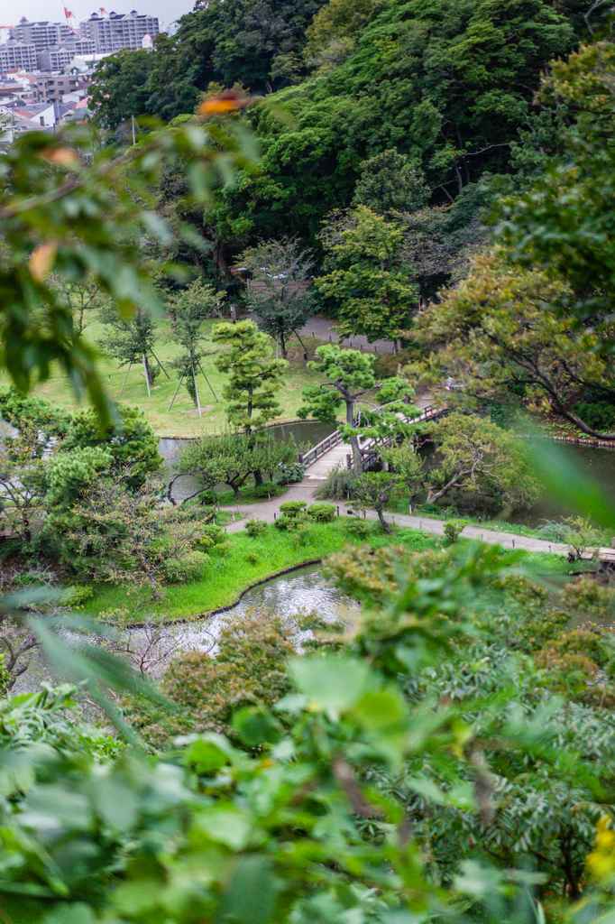 Una vista aérea de un jardín japonés 