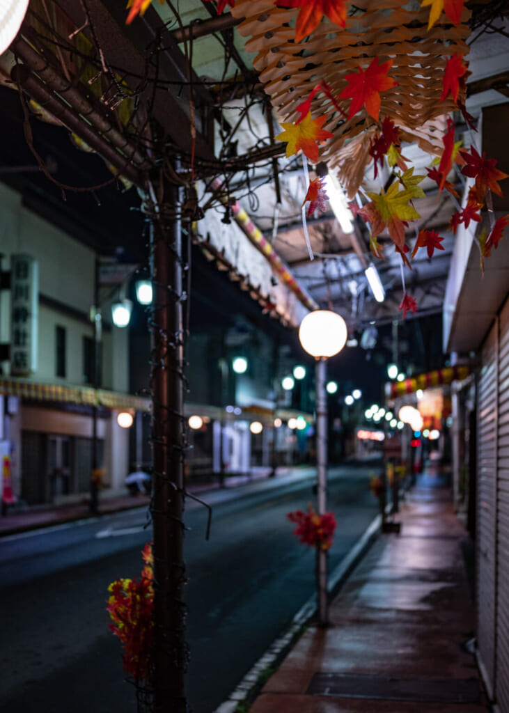 imagen nocturna del barrio Nishiura en Japón