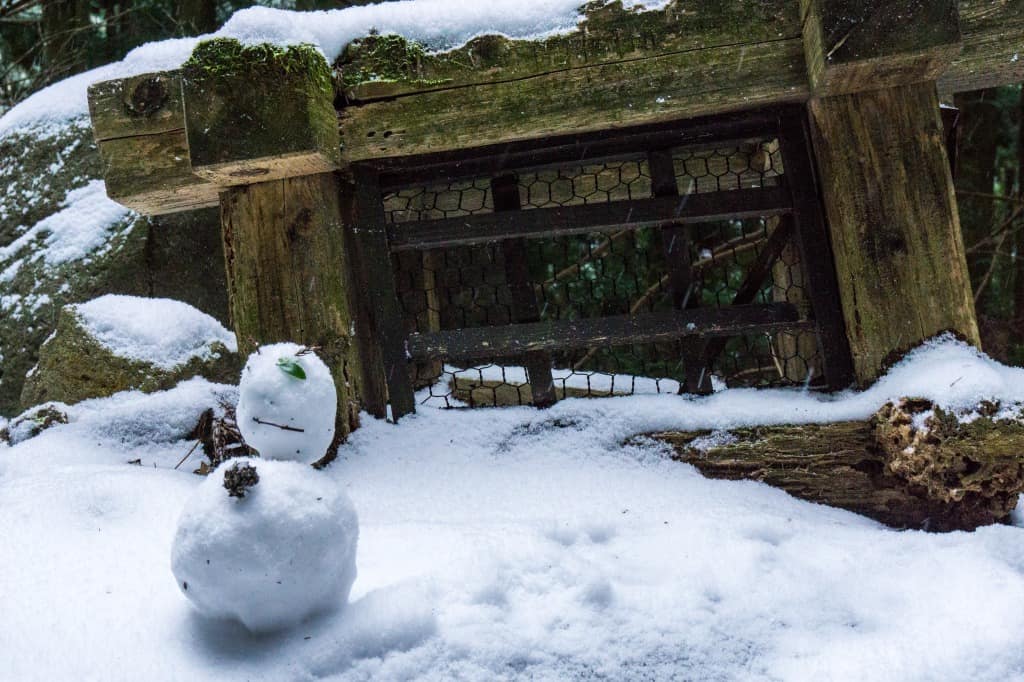Muñeco de nieve en las inmediaciones a la Cascada Shiraino