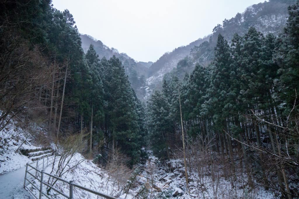 Paisaje montañoso en la ruta a la Cascada Shiraino.