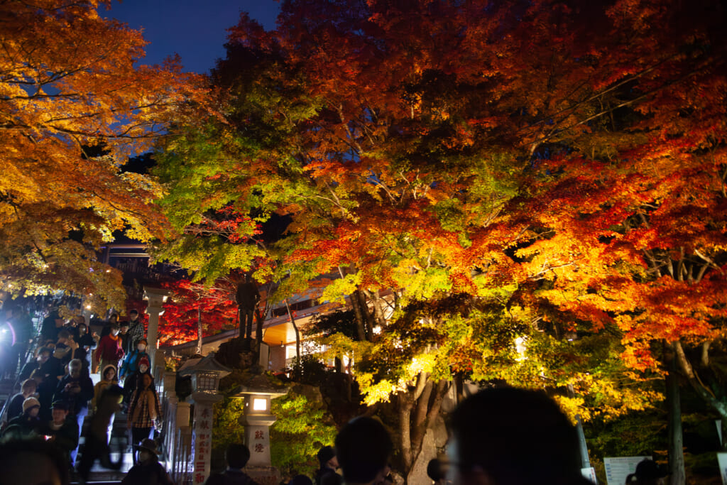 Santuario Afuri en el monte Oyama durante el otoño