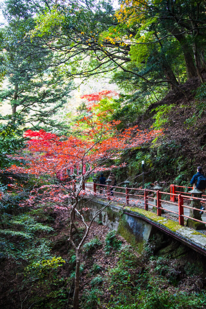 El monte Oyama en Isehara durante el otoño