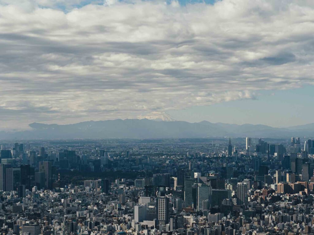 Vista del skyline de Tokio y el Monte Fuji