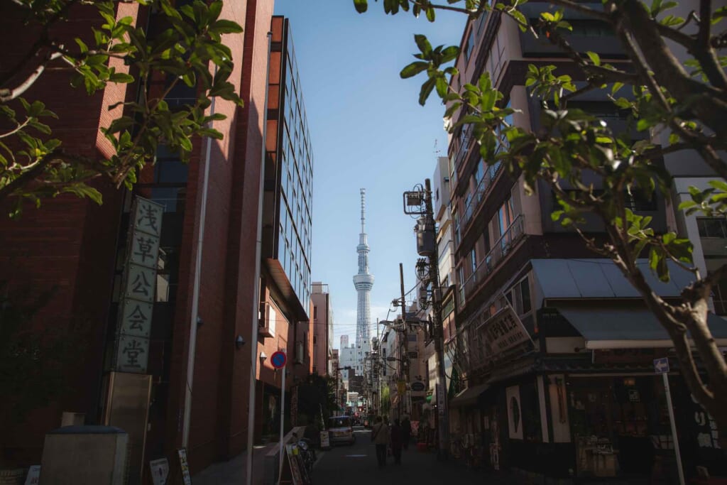 Vistas de la torre Skytree en el barrio de Sumida