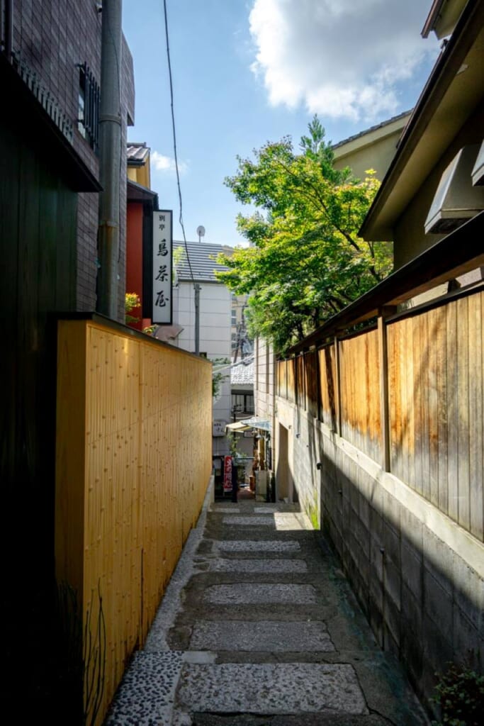 Una pequeña calle japonesa en Tokio