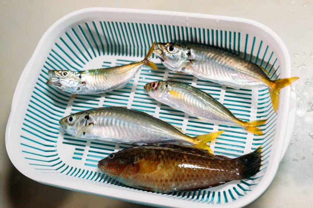 La pesca en un muelle en Nagasaki