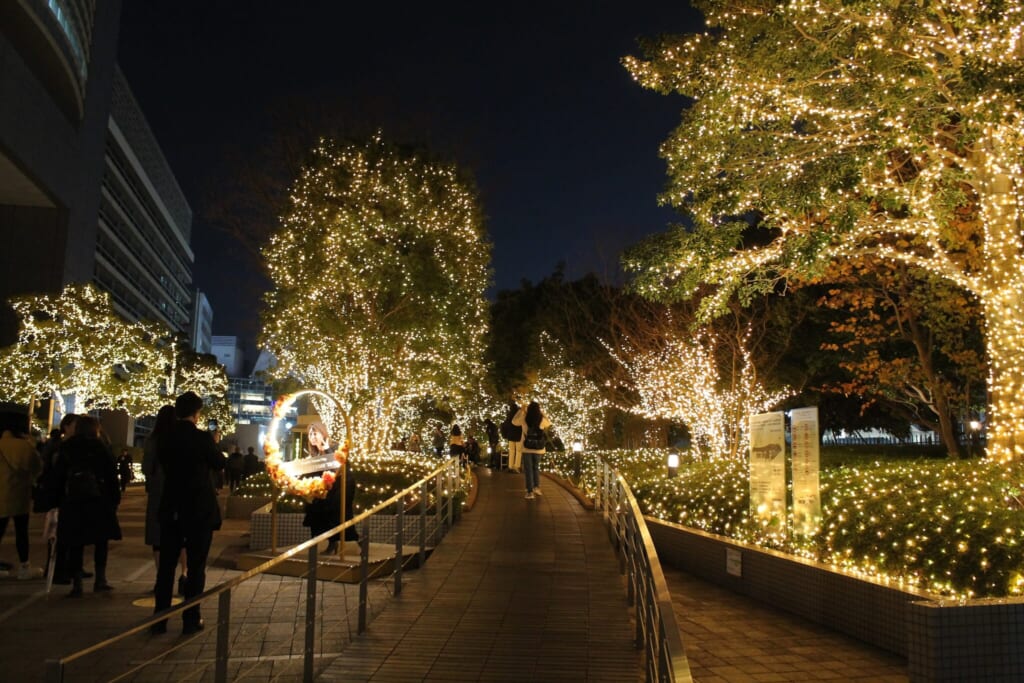 Luces de invierno en Tokio