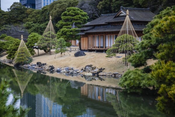 Jardines Hamarikyu en Tokio