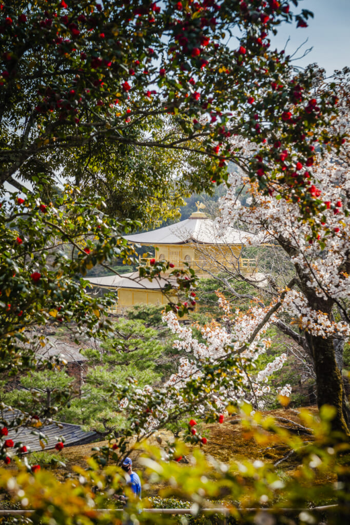Kinkakuji en Kioto