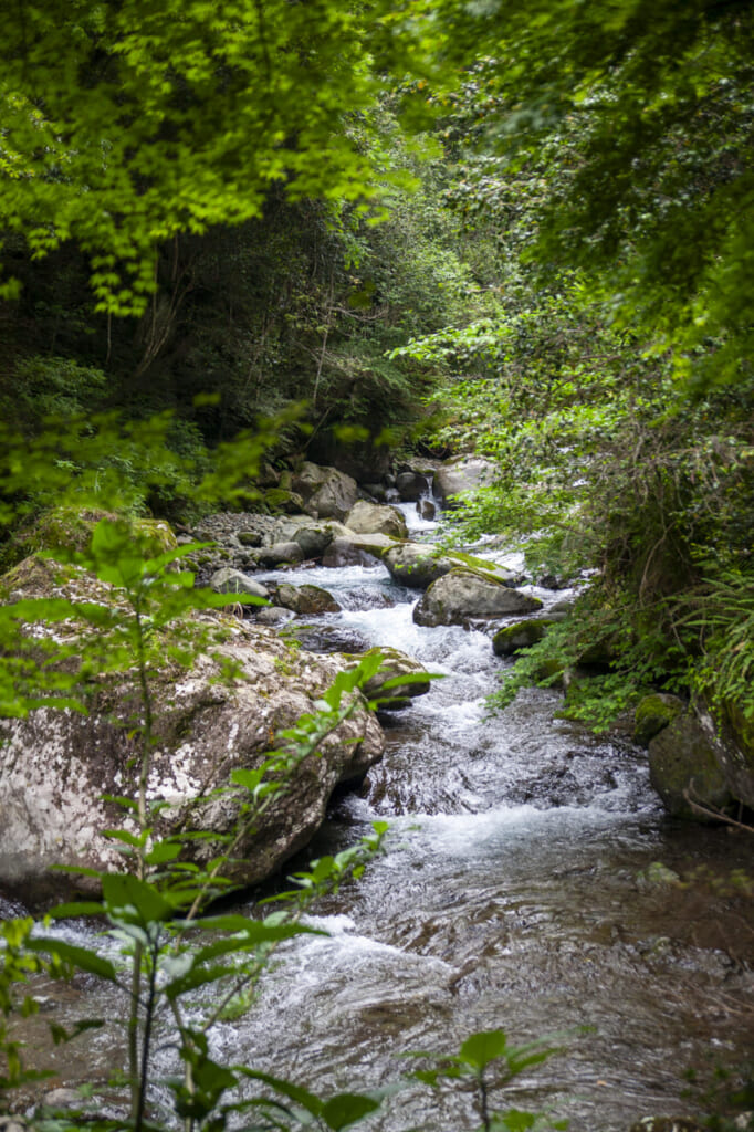 Una de las siete cascadas de Kawazu