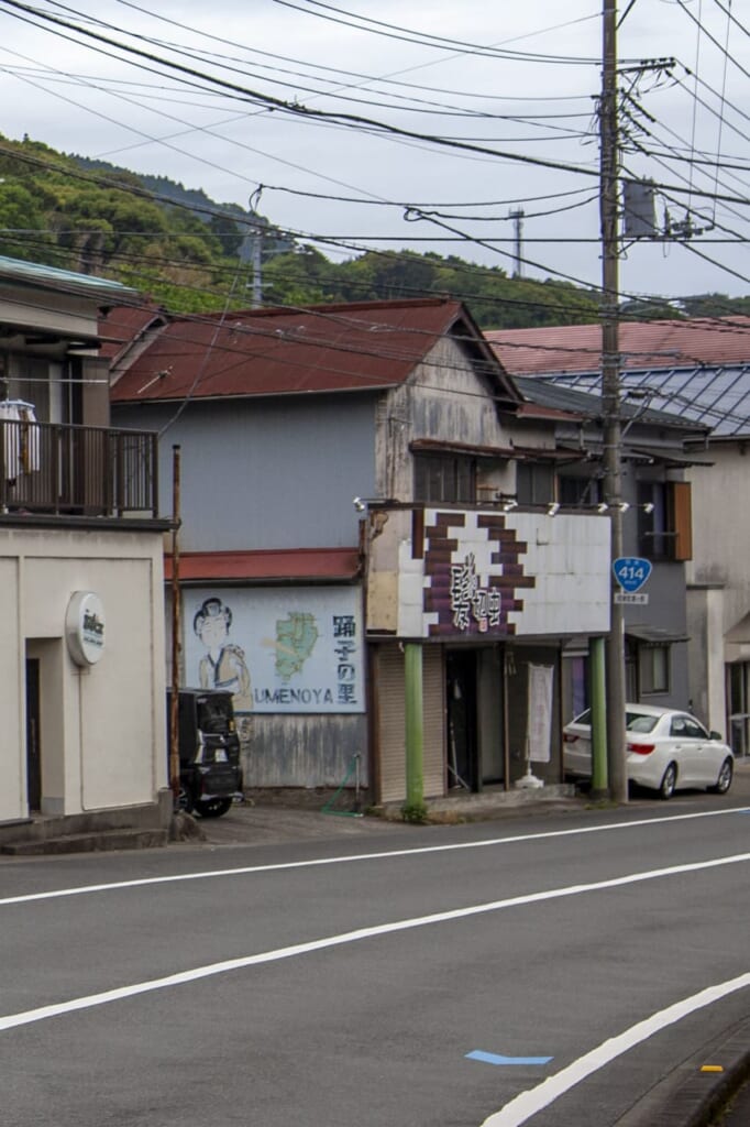 Izu No Odoriko