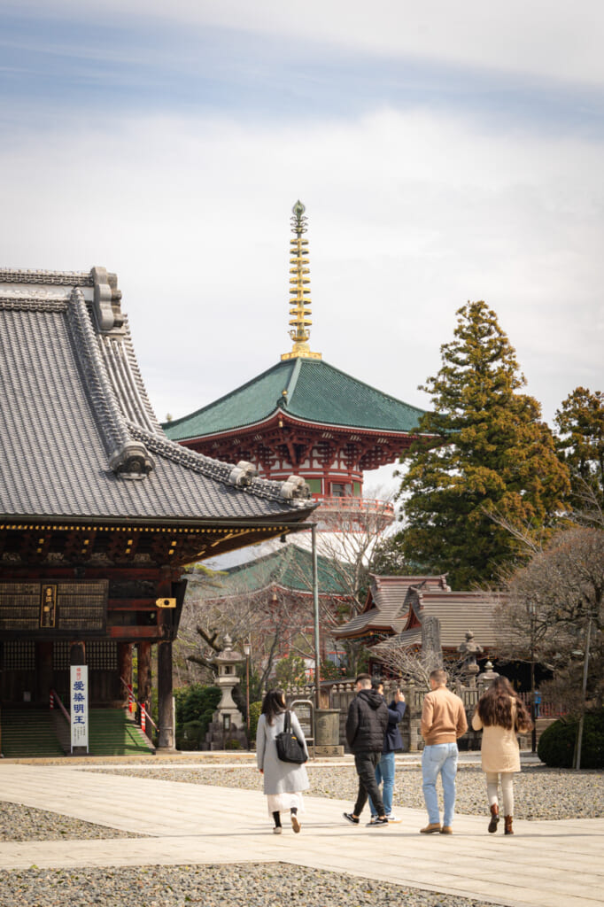 Vistas del templo de Narita