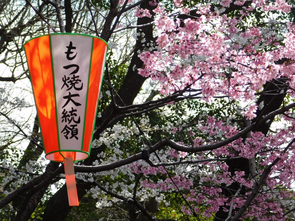 Das Kirschblütenfest im Ueno Park.