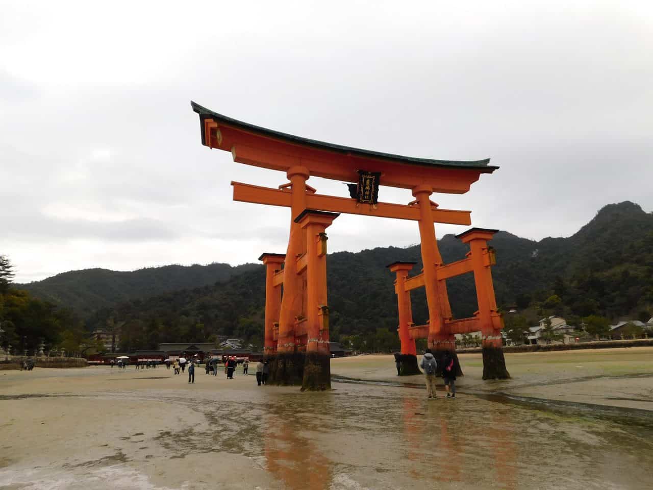 Zwischen Rehen und interessanten Geschichten – Ein Ausflug nach Miyajima
