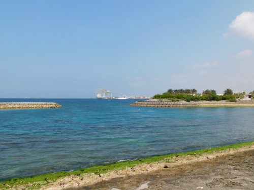 Walbeobachtungstour mit „Cerulean Blue Okinawa“ in Naha