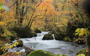 Der Fluss Oirase und der Towada-See in der Präfektur Aomori, Japan.