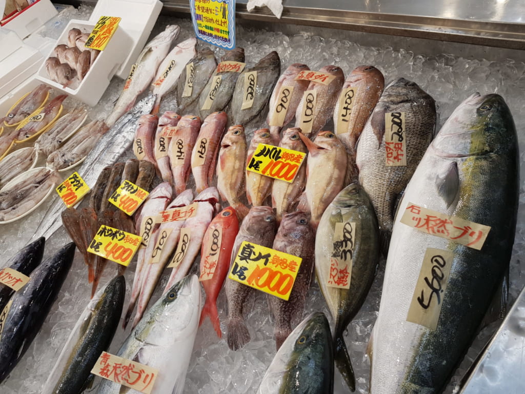 Frischer Fisch auf dem Fischmarkt in Teradomari, Niigata.