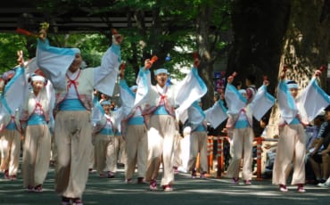 Yosakoi in den Straßen von Fuchu.