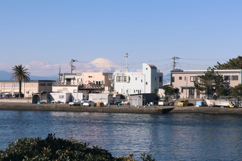 Bei gutem Wetter könnt ihr von Enoshima aus auch den Berg Fuji sehen.
