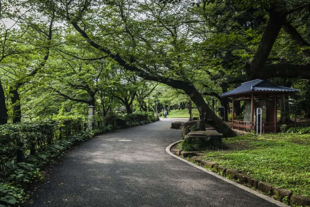 Der Asukayama Park in Tokio, Japan.
