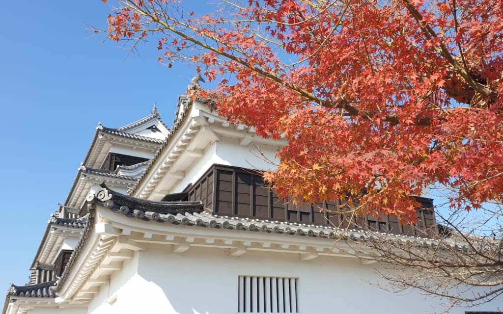 Die Burg Ozu mit Herbstlaub.