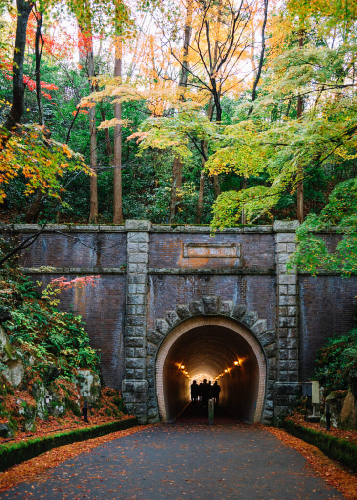 Tunnel im Yahiko Park, Präfektur Niigata, Japan.