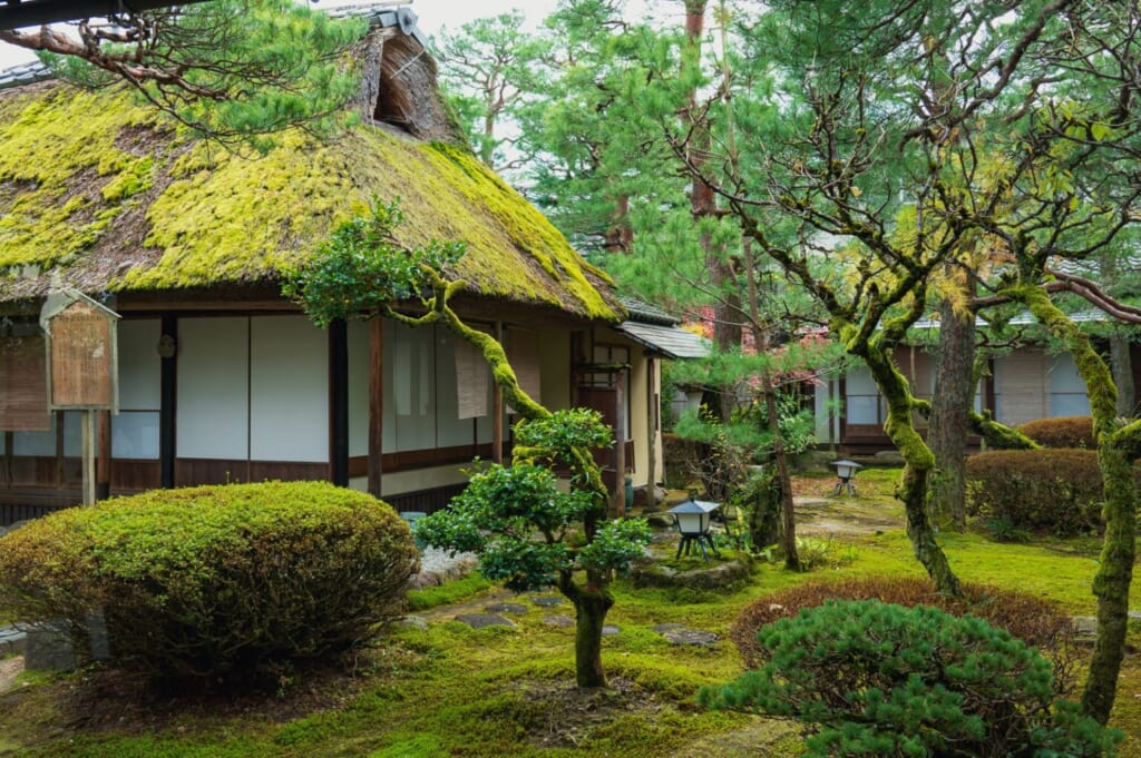 Traditionelle japanische Häuser mit Moos.