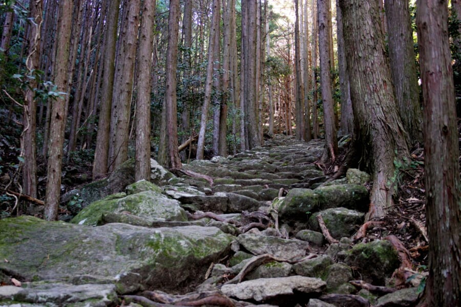 Waldgebiet in Kumano, Präfektur Mie, Japan.