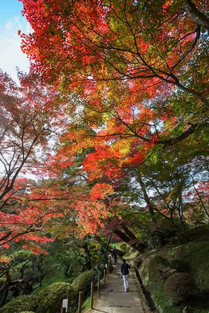 Herbstfarben in Fukushima, Japan.