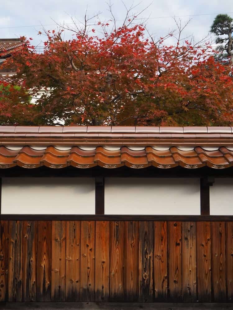 Herbstlaub in Kurayoshi, Japan.