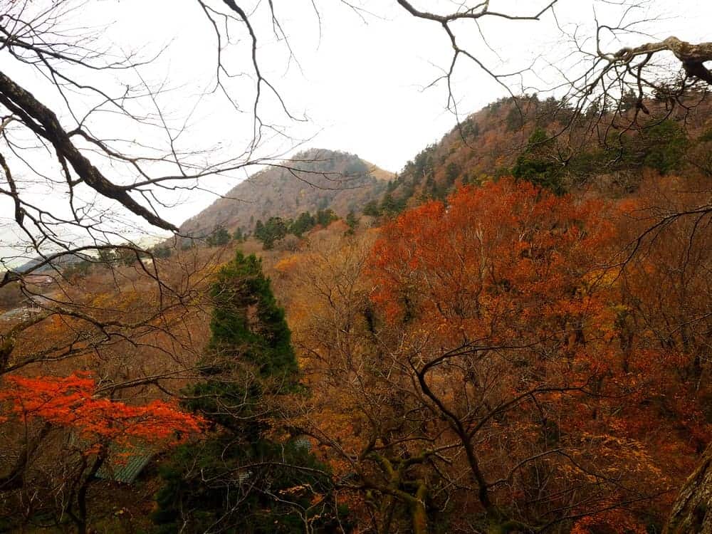 Tottori im Herbst: Herbstlaub auf dem Berg Daisen.