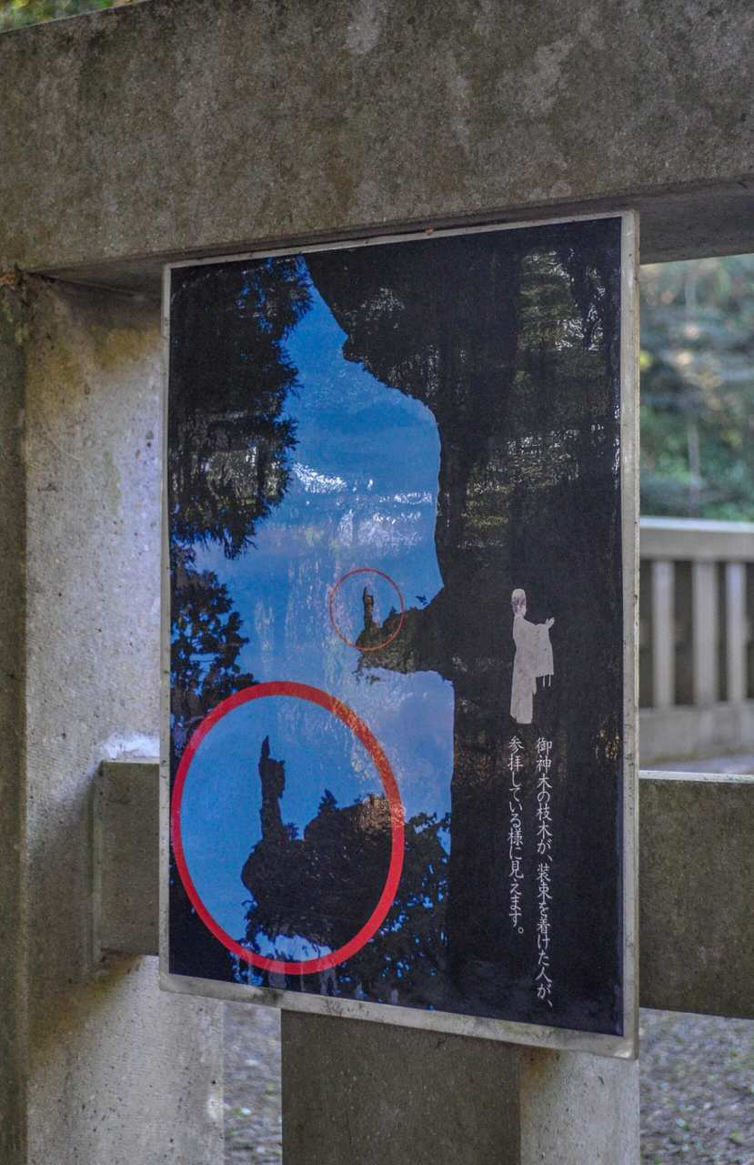 Plakat mit einem Ast, der einem japanischen Priester ähnelt.