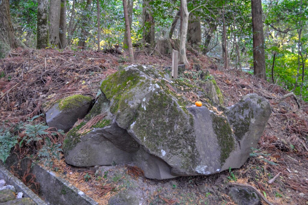 Ein schildkrötenförmiger Felsen in Japan.