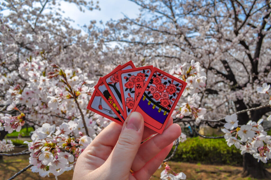 Hanafuda-Karten vor Kirschblüten in Japan.